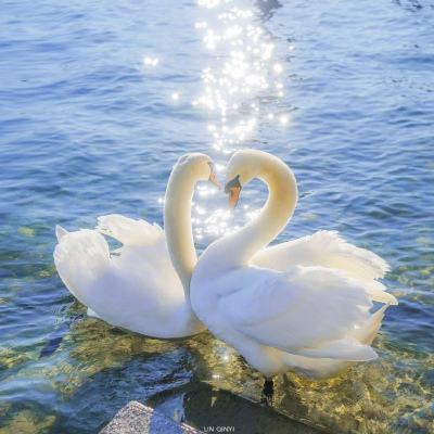 皇冠体彩app下载官网