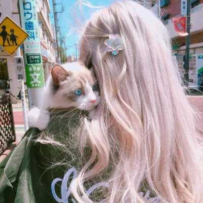 单机的打鱼游戏