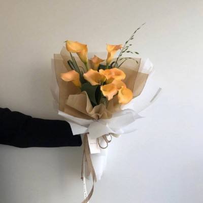 半岛手机综合体育官方下载