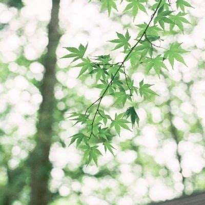 ku体育app首页截图