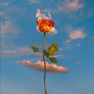 助赢软件app手机app下载